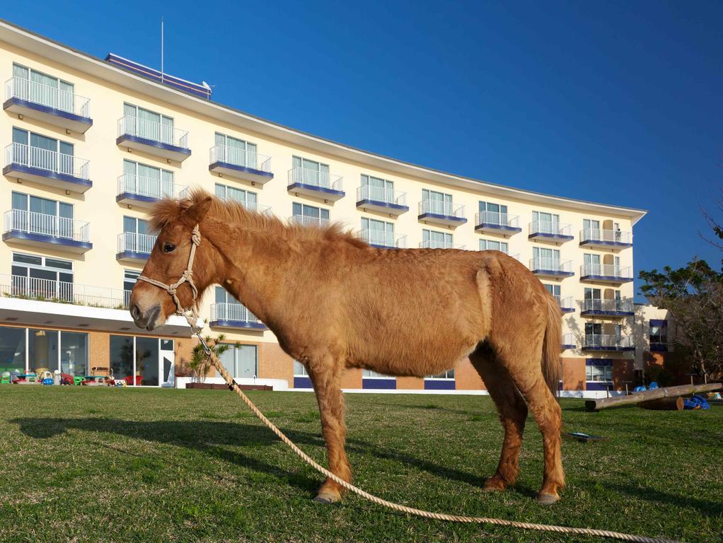 Hotel Marine Piazza Okinawa Motobu Exteriér fotografie